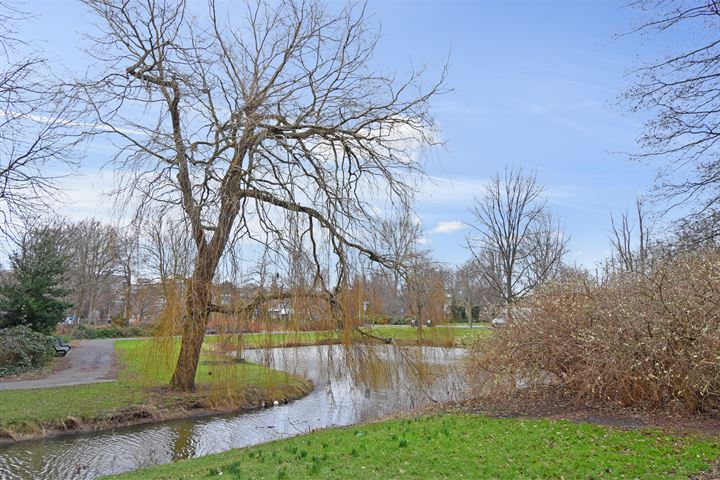 Bekijk foto 37 van Louis Davidsstraat 237