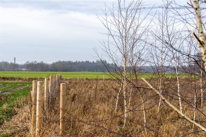 Bekijk foto 3 van Lochemseweg 22