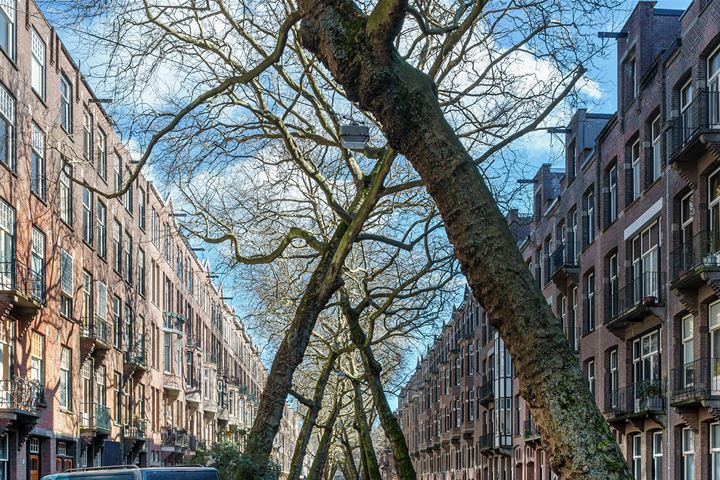 Bekijk foto 35 van Lomanstraat 92-1