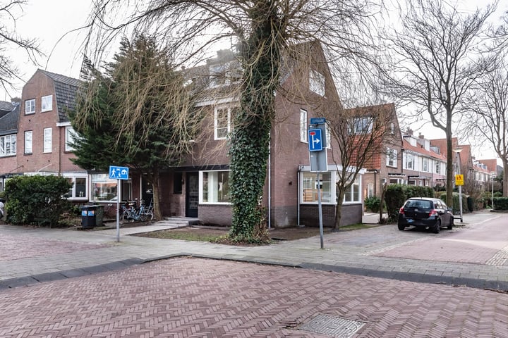 Bekijk foto 1 van Laan van Rozenburg 37