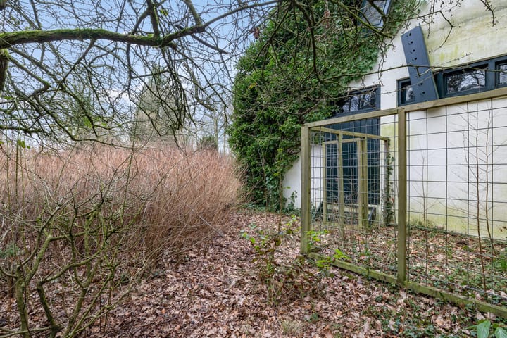 Foto 24 van de Bente 10