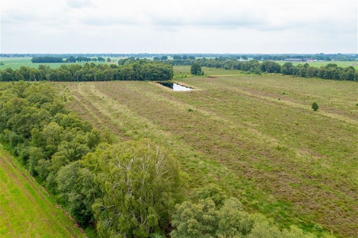 Bekijk foto 44 van Steigerwijk 62