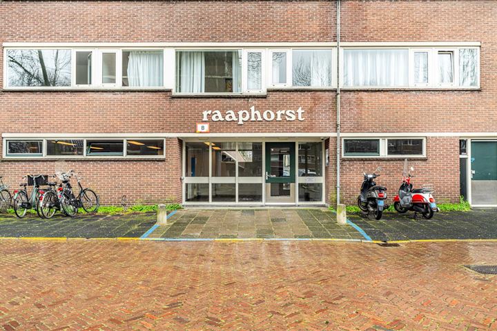 Bekijk foto 43 van Raaphorst 99