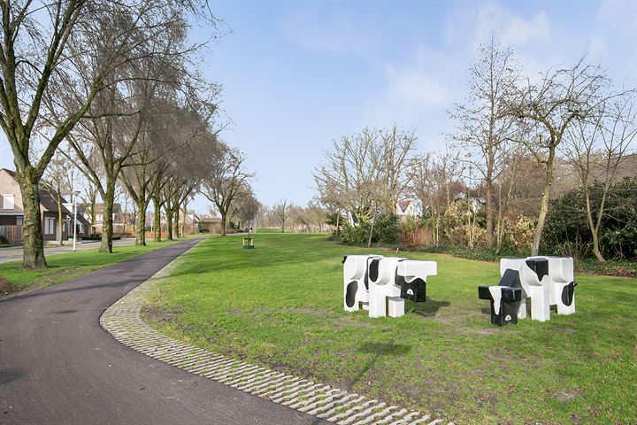 Bekijk foto 33 van Peellandsingel 52