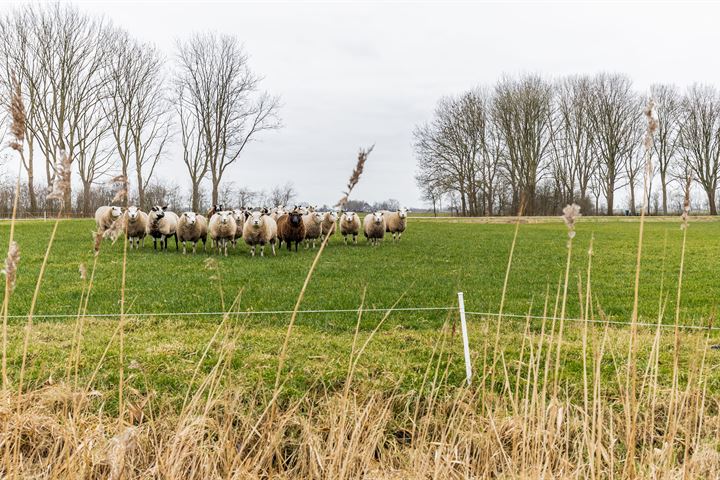 Bekijk foto 55 van Gruytsweg 62