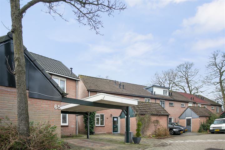 Bekijk foto 30 van Walkottelanden 66