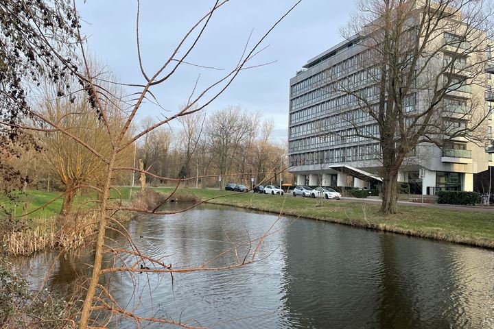 Bekijk foto 2 van Stadhoudersplantsoen 2-D