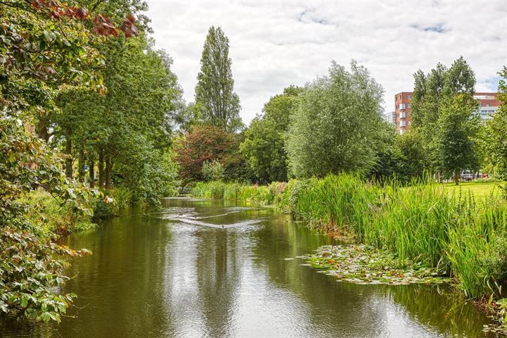 View photo 5 of Stadhoudersplantsoen 2-D