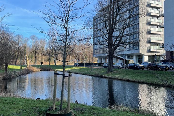 Bekijk foto 4 van Stadhoudersplantsoen 2-D