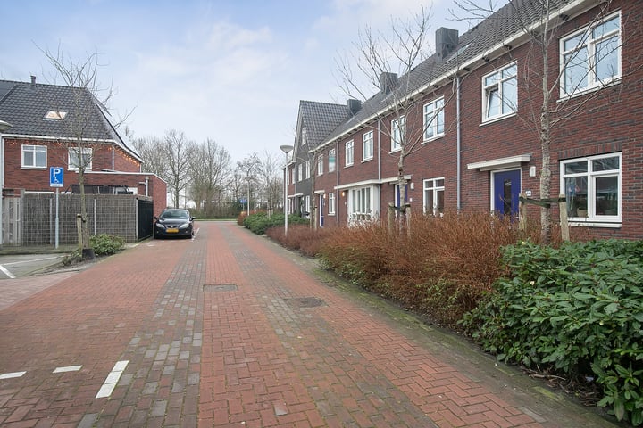 Bekijk foto 3 van Sleutelbloem 50