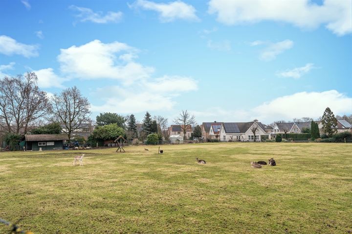 Bekijk foto 45 van Wezelsebergweg 25