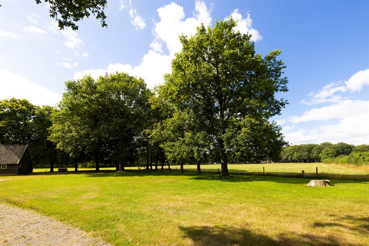 Bekijk foto 75 van Linthorst Homanlaan 1