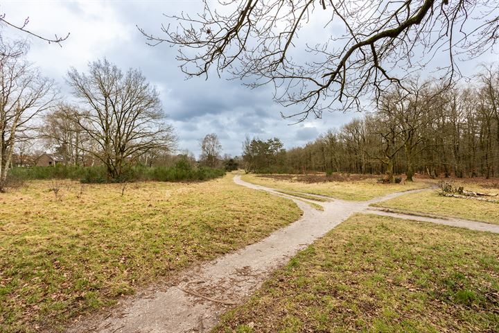 Bekijk foto 22 van Banckertlaan 189