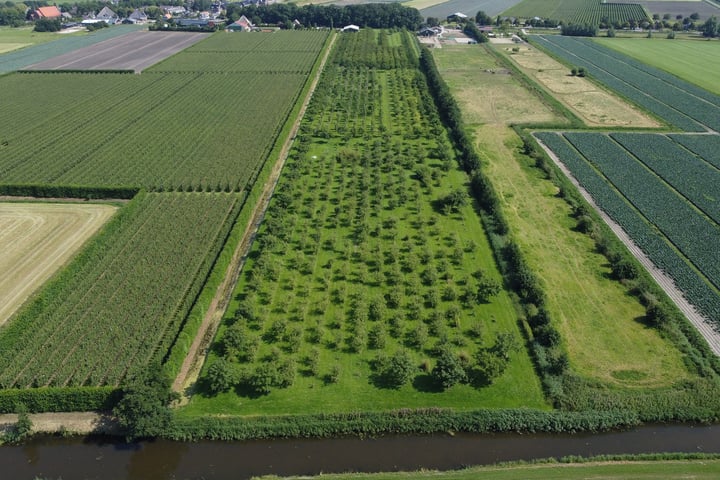 View photo 1 of Zwaagdijk 212