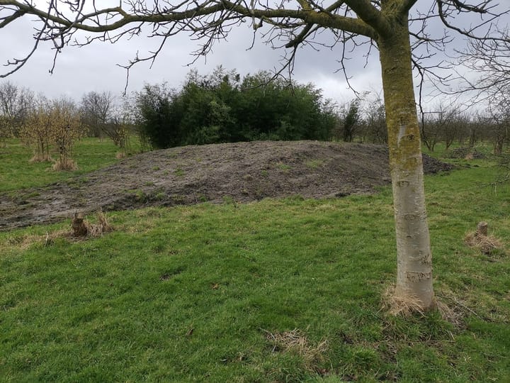 Foto 15 van Zwaagdijk 212