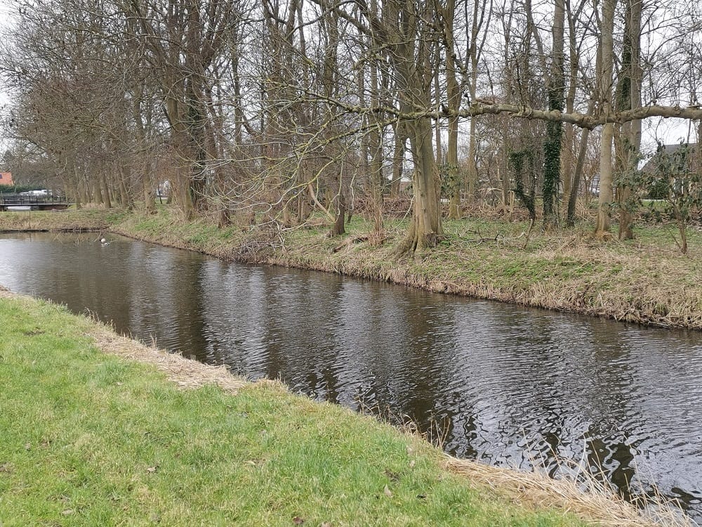 Photo 14 of Zwaagdijk 212
