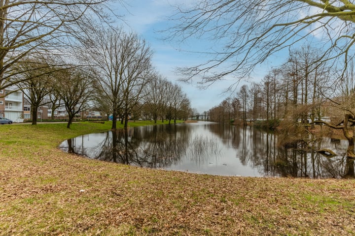 Bekijk foto 26 van Wandelboslaan 66