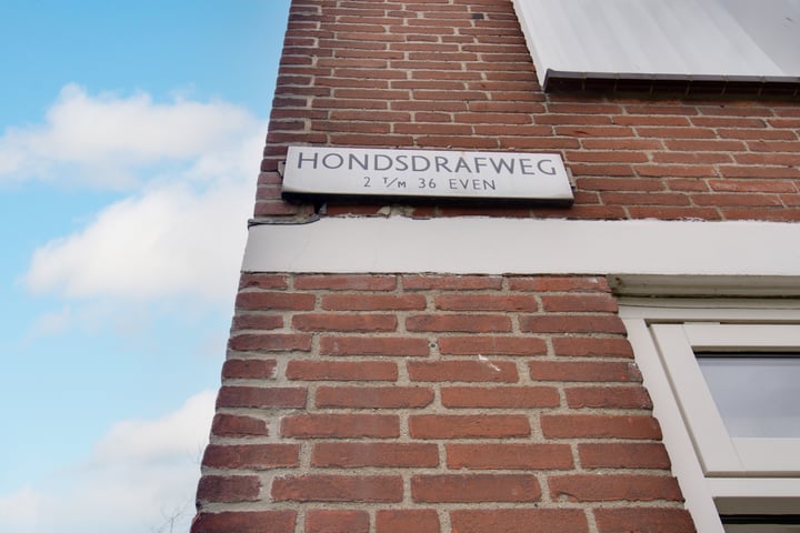 Bekijk foto 22 van Hondsdrafweg 4