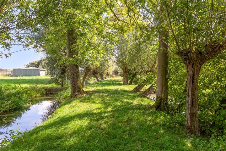 Bekijk foto 62 van Nedereindseweg 516