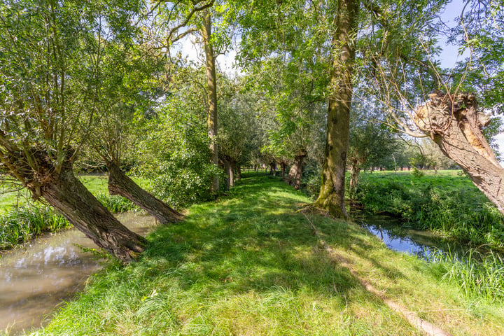 Bekijk foto 61 van Nedereindseweg 516