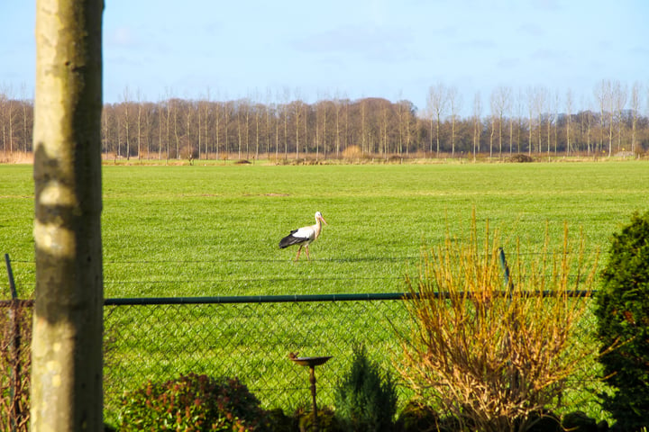 Bekijk foto 65 van Houtwerf 36