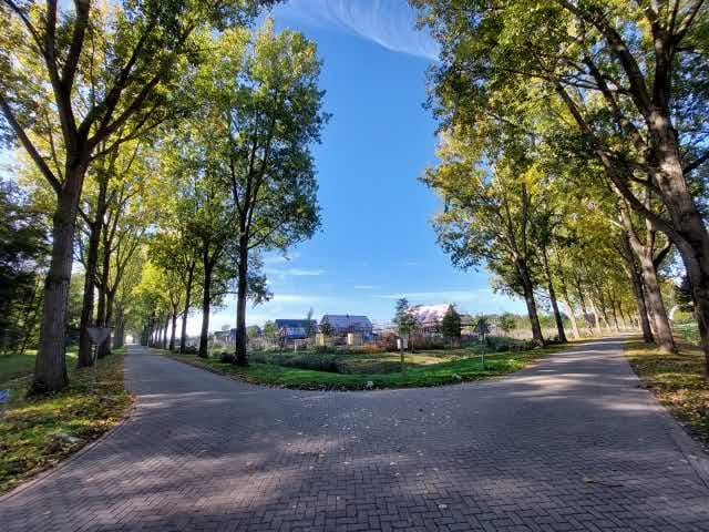 Foto 13 van Teesinkbos 1