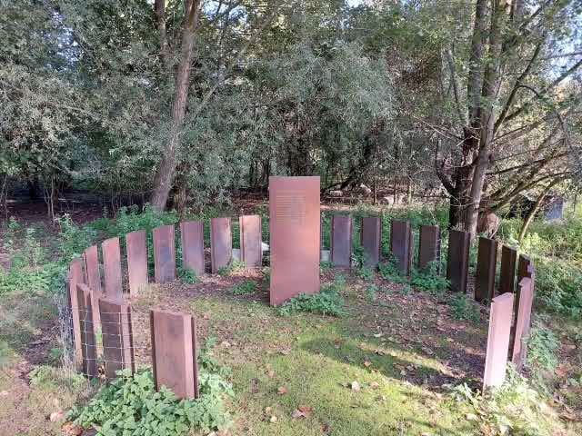 Foto 15 van Teesinkbos 1