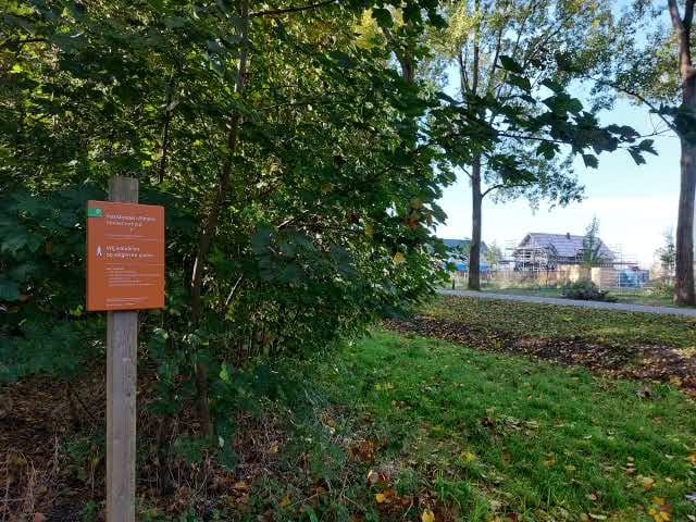 Foto 14 van Teesinkbos 1