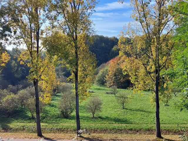 Foto 17 van Teesinkbos 1