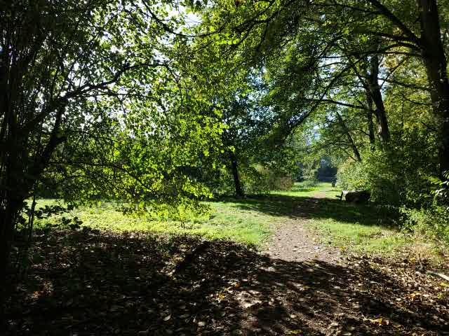 Foto 23 van Teesinkbos 1