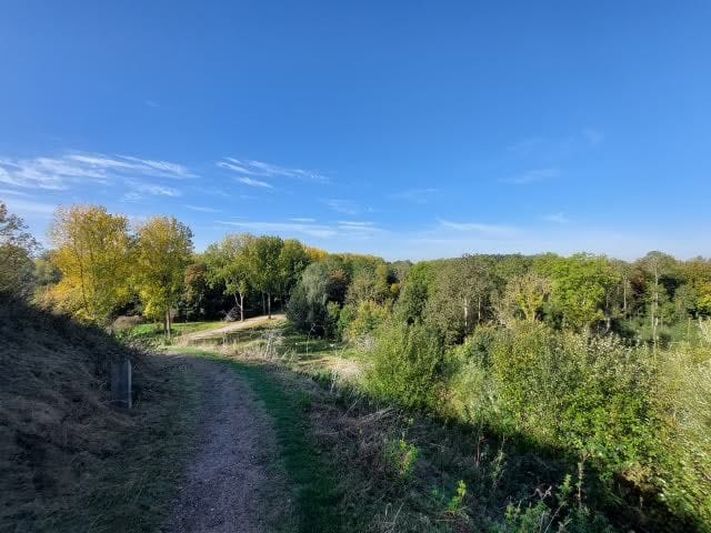 Foto 19 van Teesinkbos 1