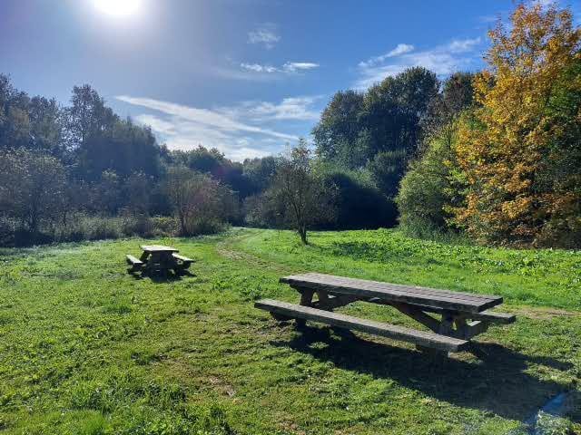 Foto 20 van Teesinkbos 1