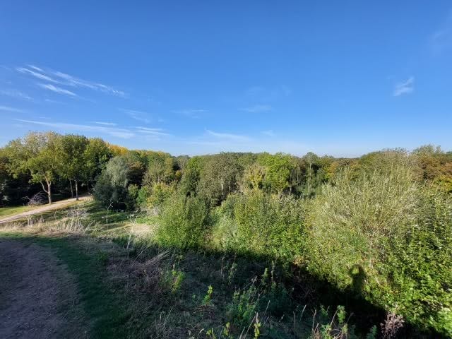 Foto 18 van Teesinkbos 1