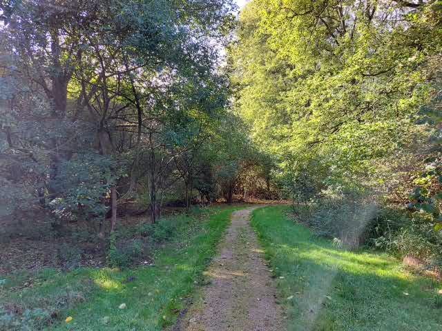 Foto 22 van Teesinkbos 1