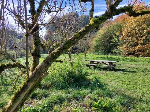 Foto 21 van Teesinkbos 1