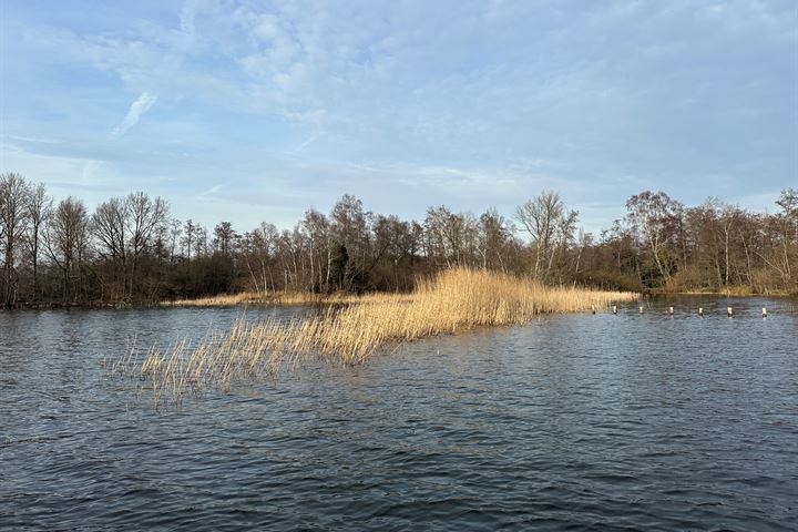 View photo 3 of Eiland nabij de Oostelijke Drecht