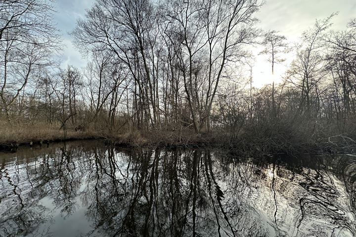 View photo 7 of Eiland nabij de Oostelijke Drecht