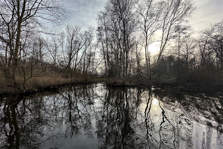 View photo 8 of Eiland nabij de Oostelijke Drecht