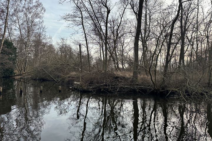 View photo 9 of Eiland nabij de Oostelijke Drecht