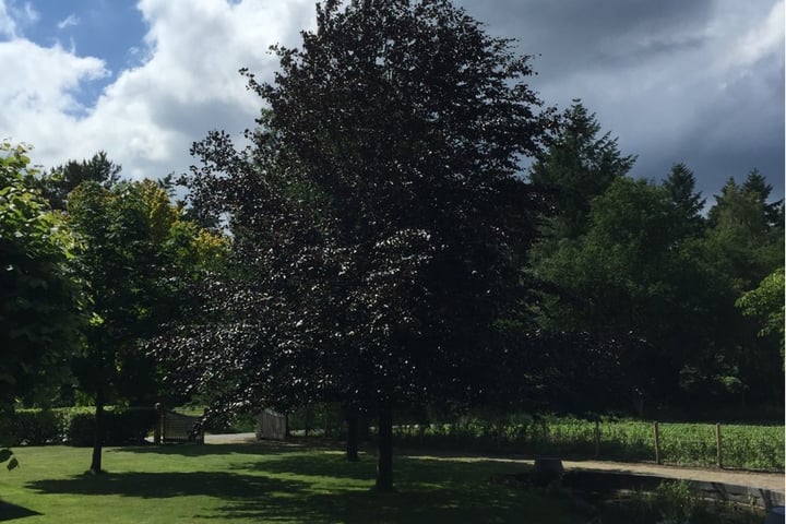 Bekijk foto 45 van Harderwijkerweg 36