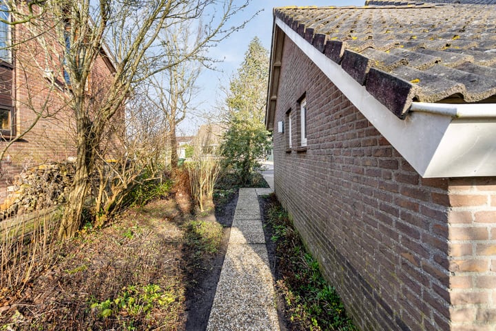 Bekijk foto 37 van Kokmeeuwstraat 31