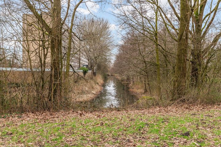 Bekijk foto 36 van Trekvogelweg 33