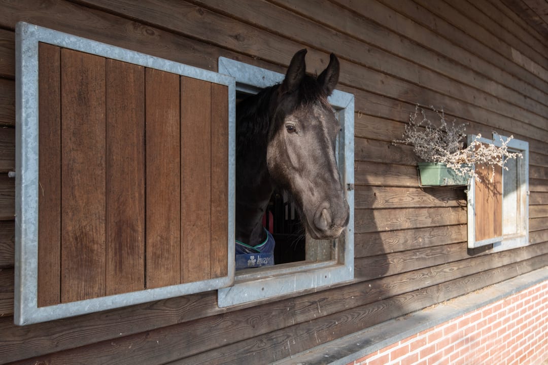 Foto 38 van Achtergaardsestraat 25