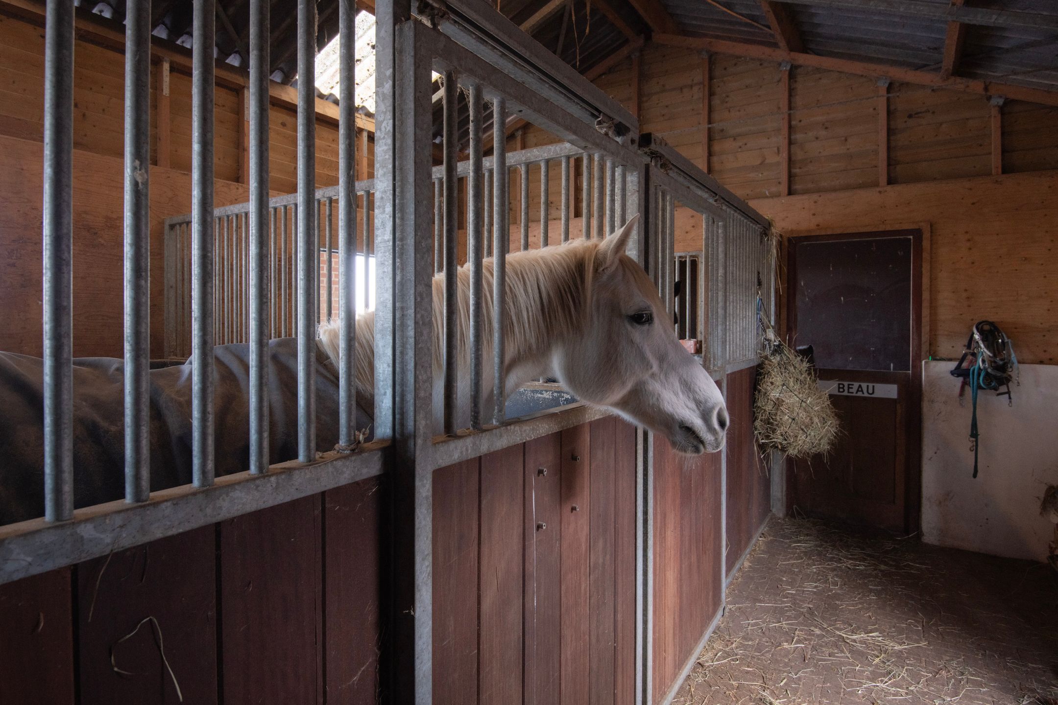 Foto 42 van Achtergaardsestraat 25