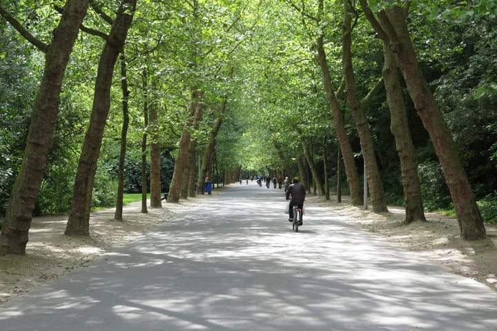 Bekijk foto 18 van Frederiksstraat 20-I