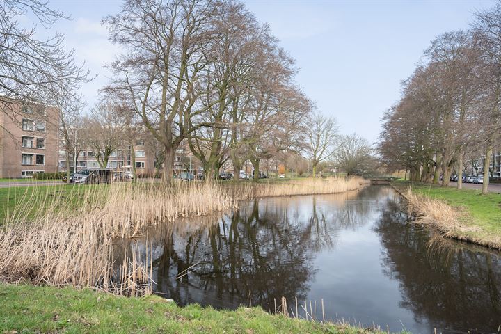 Bekijk foto 24 van Bruijnings Ingenhoeslaan 322