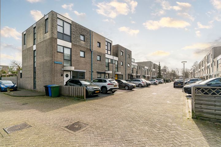 Bekijk foto 47 van Karibastraat 19