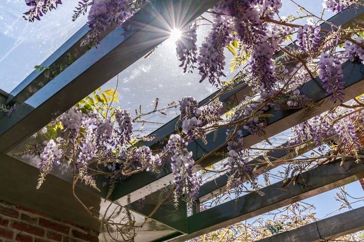 Foto 39 van Duinvoetlaan 3