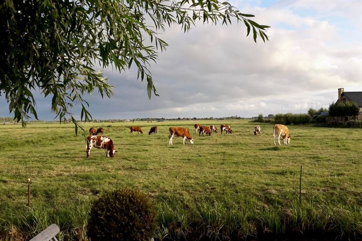 Bekijk foto 33 van Breitnerlaan 64