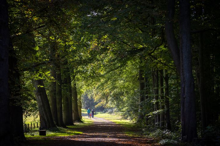 Bekijk foto 41 van Benedendijk 132